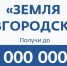 Грантовый конкурс «Земля Новгородская». - Любытинский район